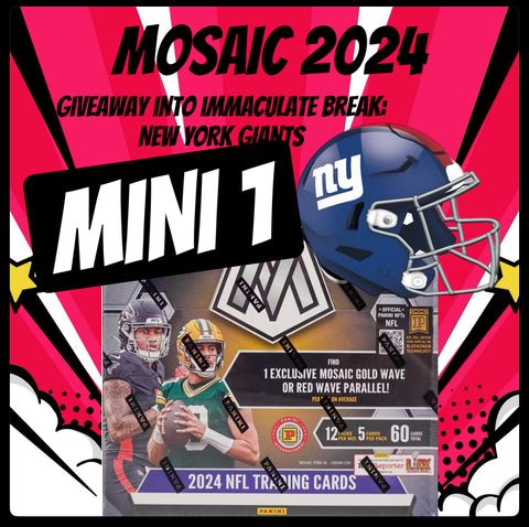 🚨 Mini 1- Break 1994 Mosaic 🚨